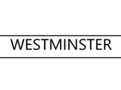 Westminster Stove Glass